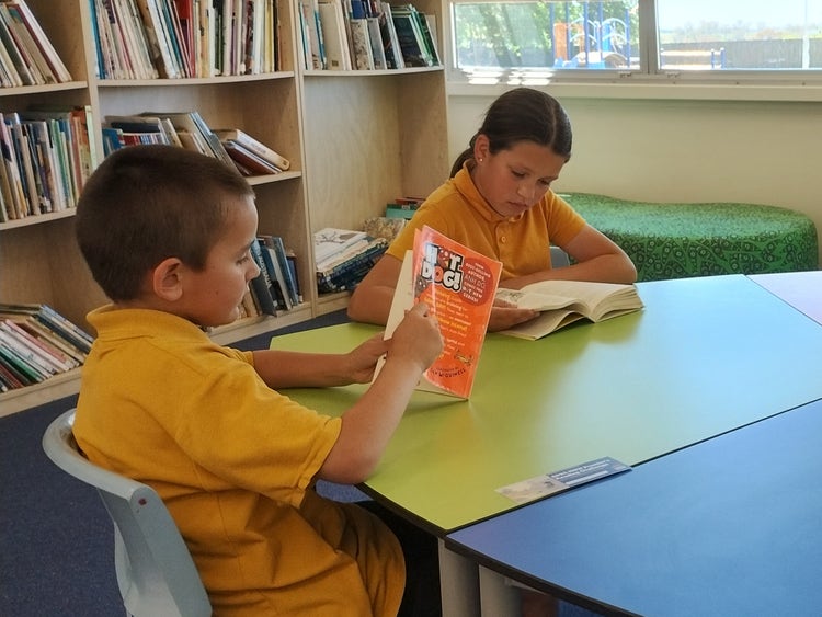 Two students reading in the library.